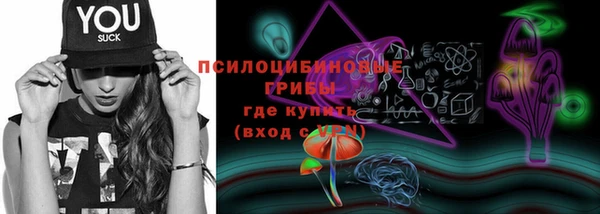 герыч Бородино