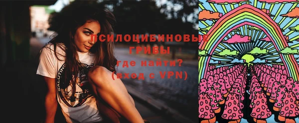 герыч Бородино