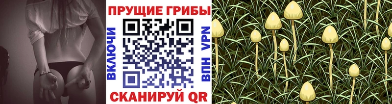 Псилоцибиновые грибы Cubensis  Далматово 